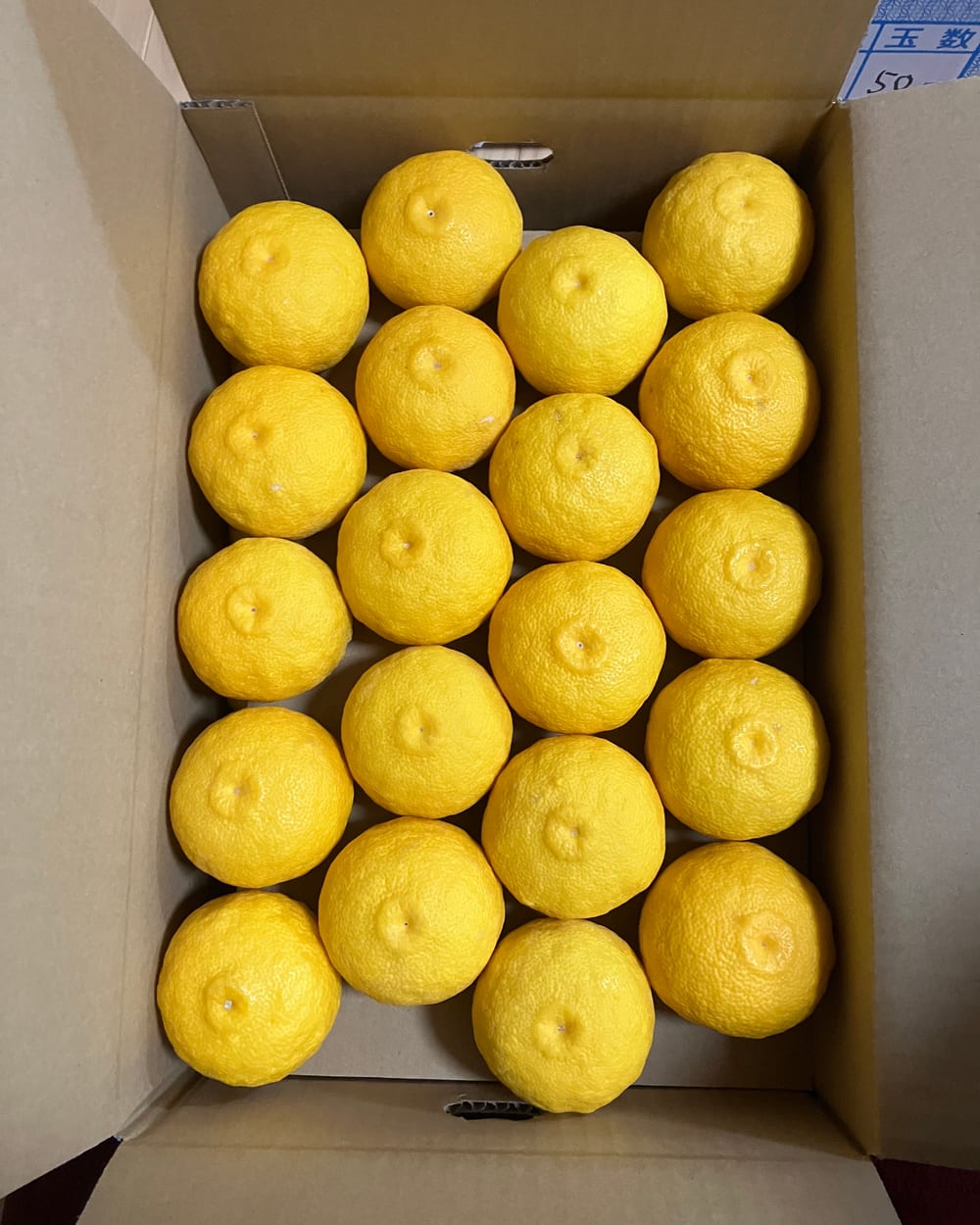 Golden Yuzu packed into a cardboard shipping carton.