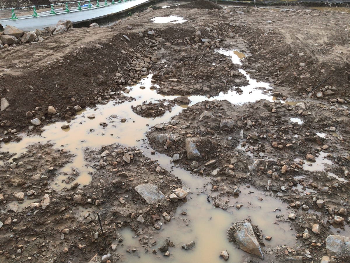 Waterlogged, compacted bare ground with stones, where rainwater sits in pools instead of draining.